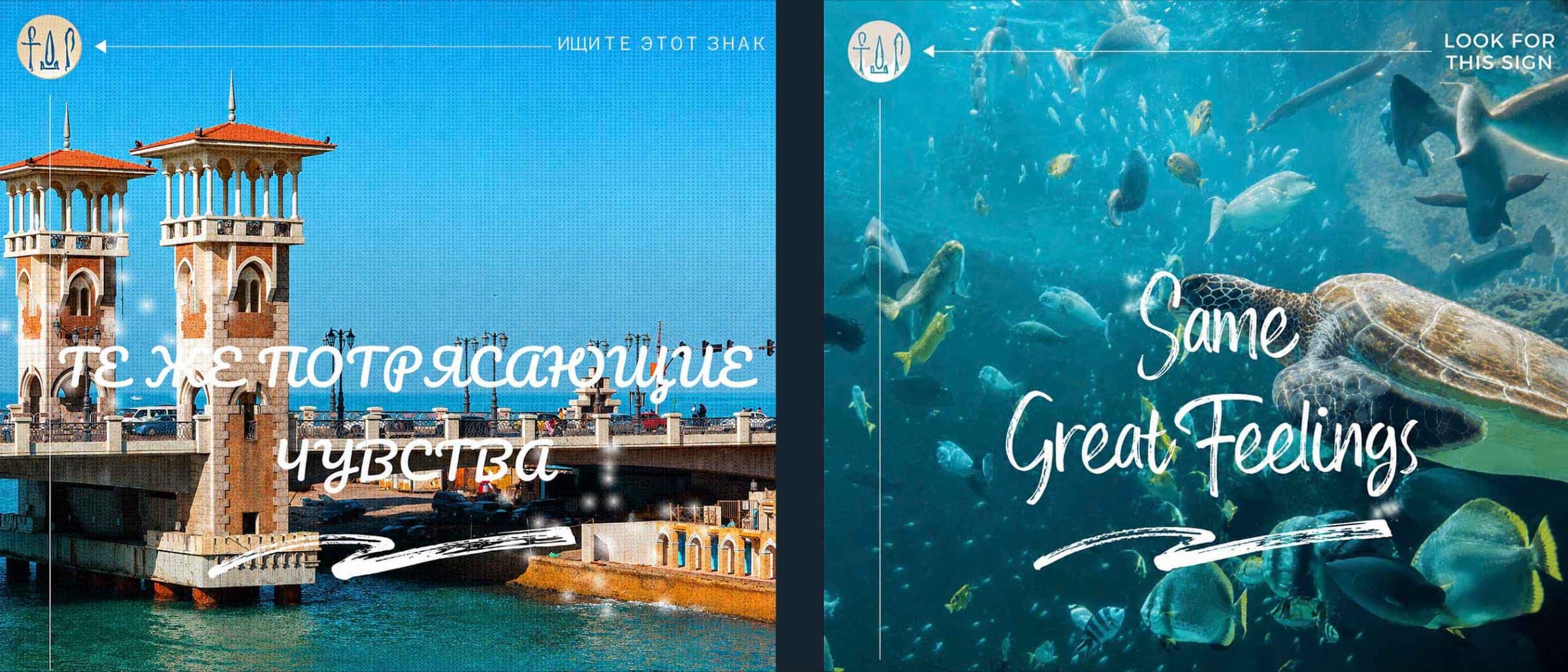 Two Egypt tourism campaign frames - Alexandria's Stanley Bridge and a sea turtle among reef fish, under 'Same Great Feelings'